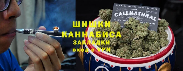 PSILOCYBIN Балахна