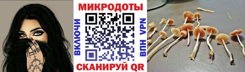 Галлюциногенные грибы Psilocybe Купить Костерёво